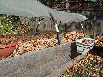 Raised bed, ready for winter, From CreativeCommonsPhoto