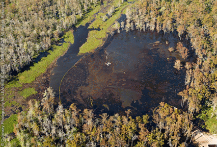 Bayou Corne Sinkhole 10.11.12