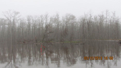 Newest cave-in area, Louisiana sinkhole.