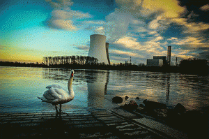 The swan in front of a nuclear power station, From ImagesAttr