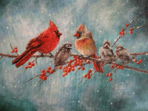 Cardinal Family, From ImagesAttr