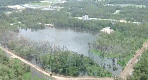 Sinkhole, August 1, 2013