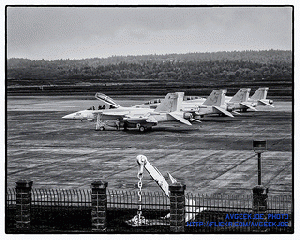 ROW OF GROWLERS ON THE NAS WHIDBEY RAMP, From ImagesAttr