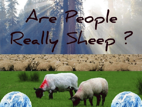 Are People Really Sheep?, From ImagesAttr