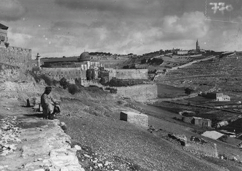 Palestinian Village, From ImagesAttr