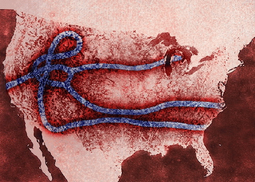 Ebola, From ImagesAttr