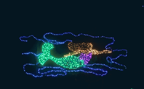 Dominion Garden of Lights-Norfolk Botanical Garden