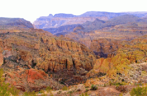 The Tonto National Forest in Arizona