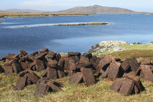 Drying the harvest