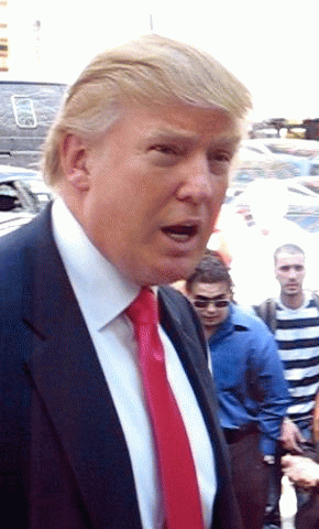 From commons.wikimedia.org/wiki/File:Donald_Trump.jpg: Donald Trump, From Images