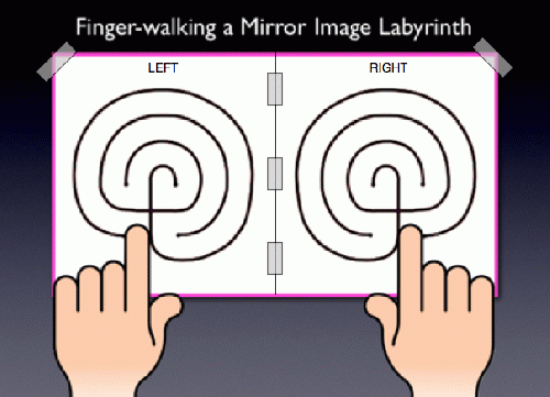 Dual labyrinths