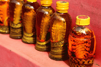 Snake oil, Sapa, From FlickrPhotos