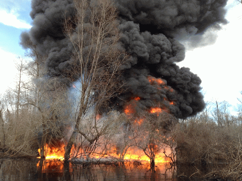 Sometimes setting fire to an petroleum drenched swamp is a good thing and the only course of action, as here in remote, wooded swamp tucked inside Bayou Sorrel, La., From ImagesAttr