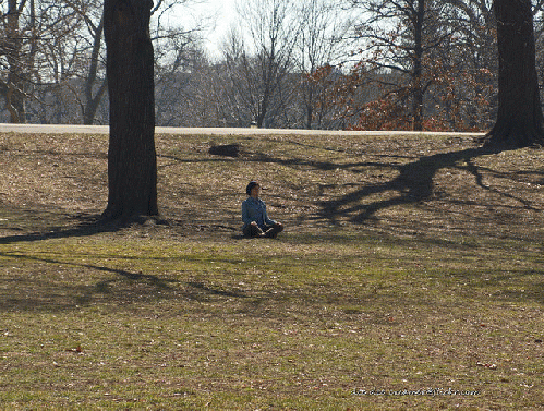 Meditation, From FlickrPhotos