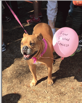 doggy balloon reads: four footed feminist