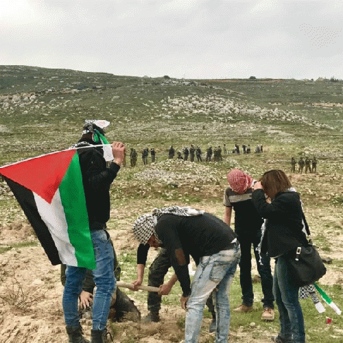 Land Day 2017 under heavy Israeli military violence