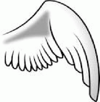 Free vector graphic: Wing, Angel, Right, Chicken - Free Image on ...702 Ã-- 720 - 83k - png, From GoogleImages