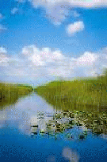 Free photo: Miami, Usa, Everglades, River - Free Image on Pixabay ...477 Ã-- 720 - 96k - jpg