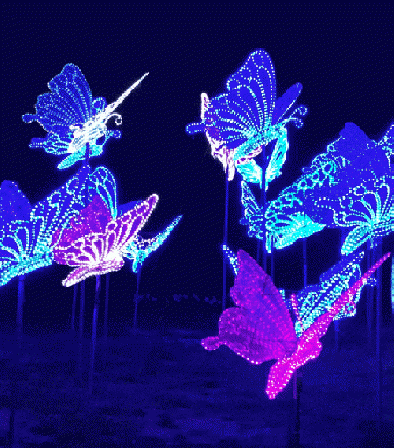 Butterflies