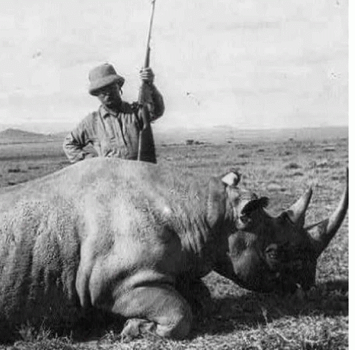 Teddy Roosevelt Loved to Kill Animals