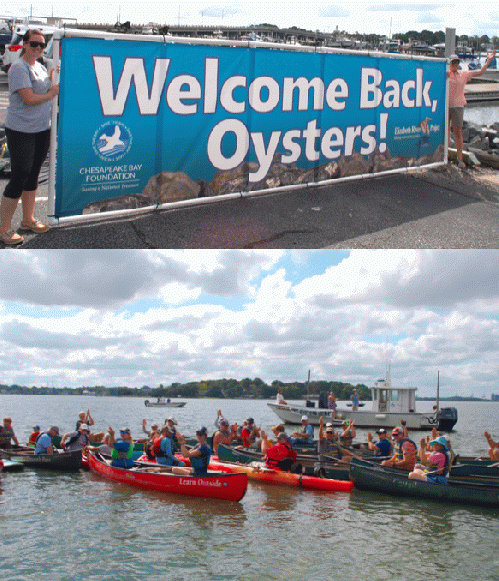 Chesapeake Bay Foundation volunteers welcome the return of the oysters with a flotilla