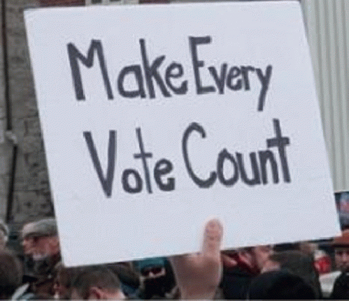 Make Every Vote Count