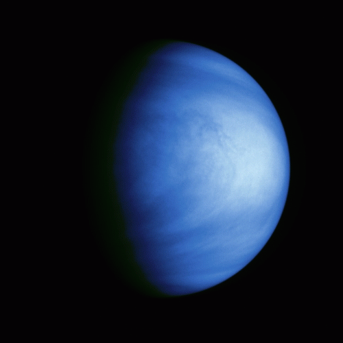 The planet Venus