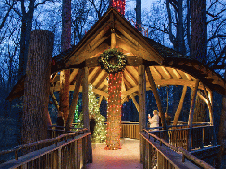 Lookout Loft