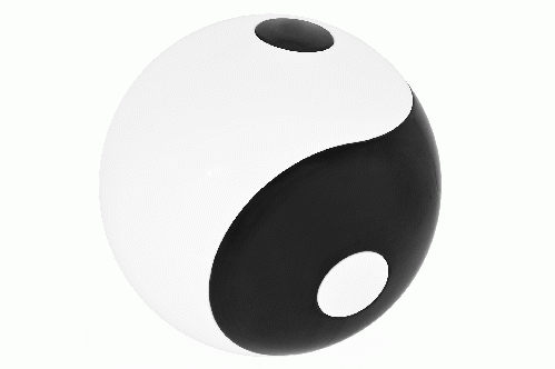 Ying Yang