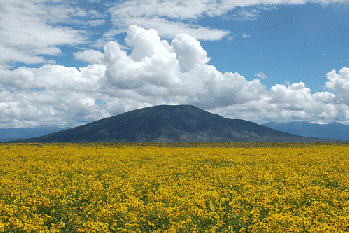 Rio Grande National Monument