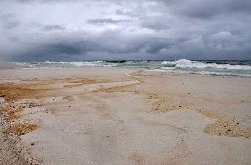 Oil stained beaches in Pensacola, Florida, From Uploaded