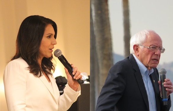 Tulsi Gabbard  & Bernie Sanders, From InText