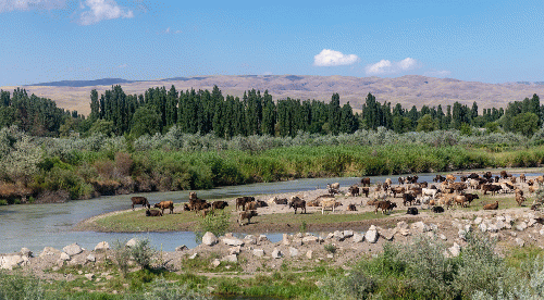 Bishkek, Kyrgyzstan, portion of the Chu River, which runs through to Kazakhstan.