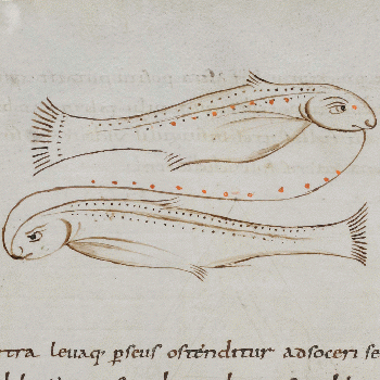 Zodiac sign of PISCES in a 9th century manuscript, From CreativeCommonsPhoto