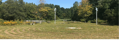 Community Labyrinth