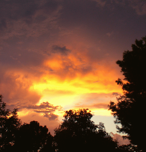 Arizona Monsoon, From CreativeCommonsPhoto