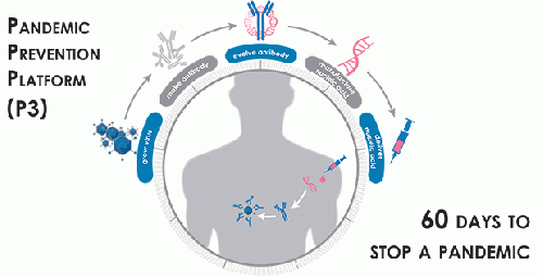 DARPA P3 pamphlet explaining flow of gene data as it heads toward a 'cure.'