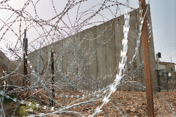Razor wire Wall, Occupied Palestine