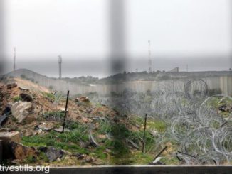 Israeli razor wire landscaping, From Uploaded