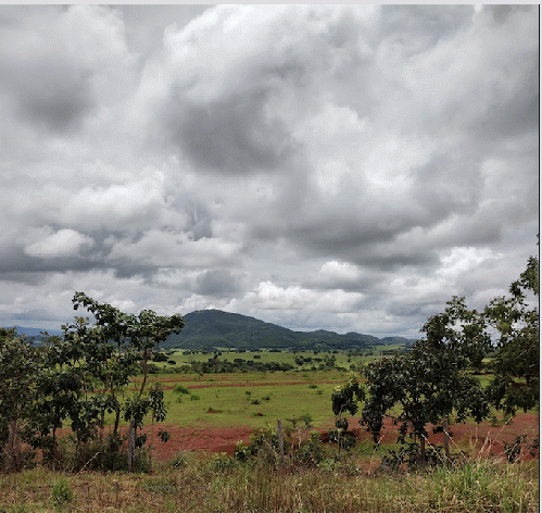 Incredible verdant vistas as far as the eye can see, From Uploaded