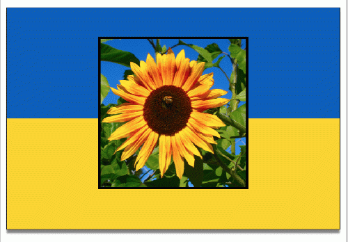 Collage image of Ukrainian flag with sunflower by Meryl Ann Butler
