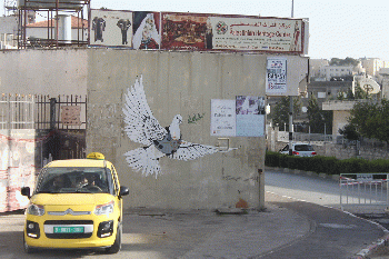 Dove in a flak jacket, Bethlehem, From CreativeCommonsPhoto