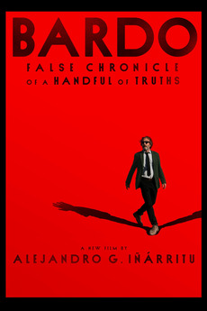 poster for film Bardo (2022)