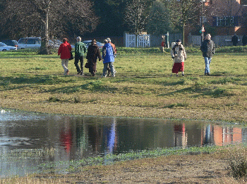 Voters reflected in pond.