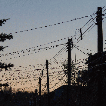 Power Lines