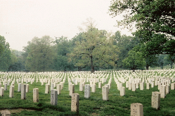 Arlington National Cemetary, Arlington, Virginia, From CreativeCommonsPhoto