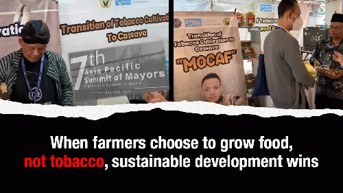 When farmers choose to grow food, not tobacco, sustainable development wins!