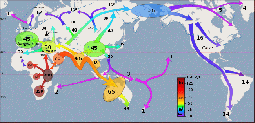 early migration patterns