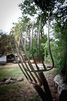 Pitchforks, From CreativeCommonsPhoto