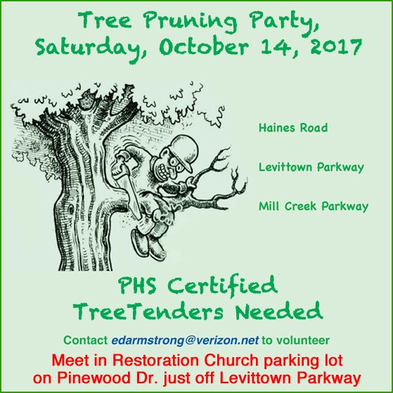 Tree Pruning Party, From Uploaded